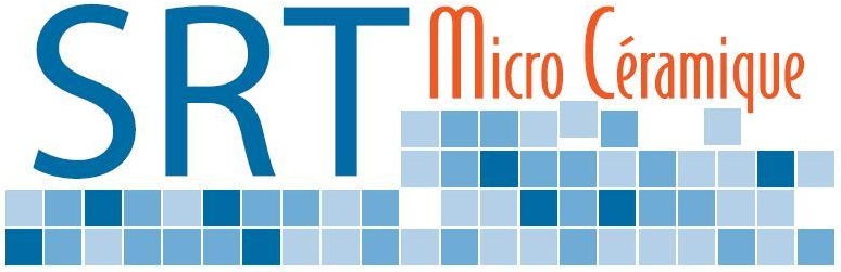 logo-srt