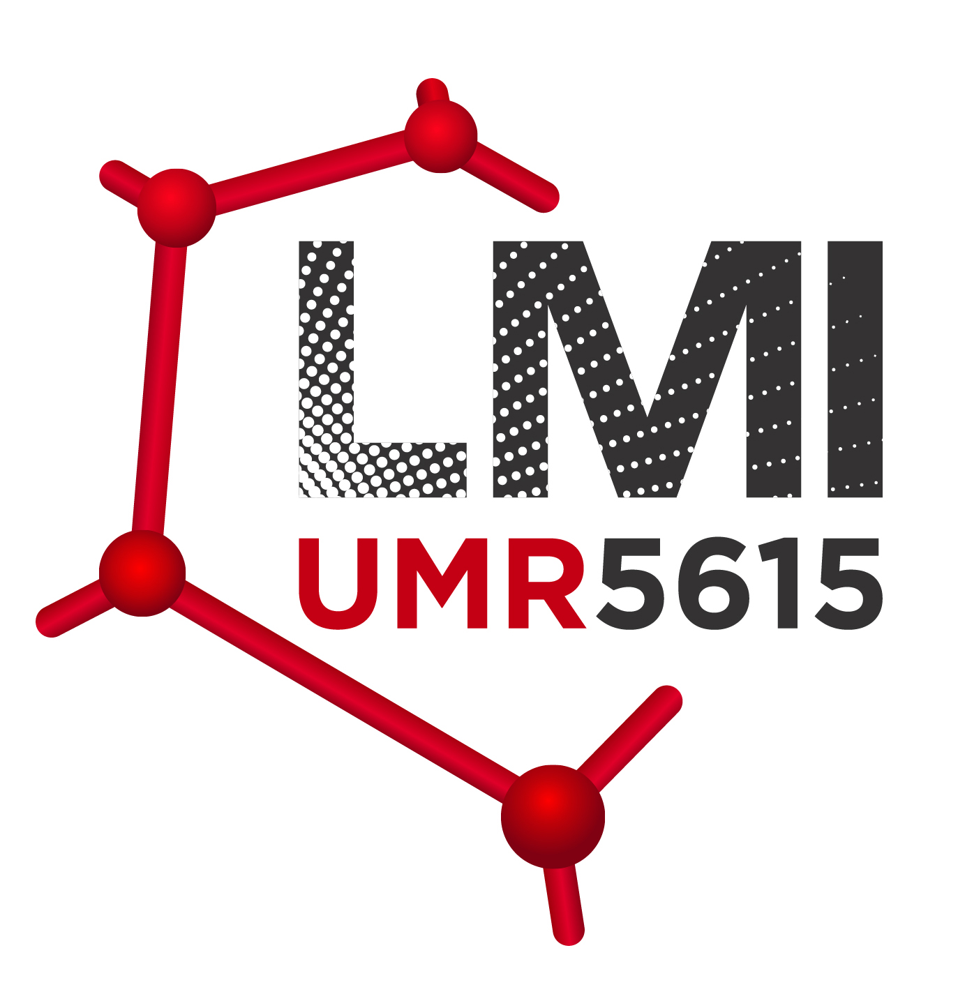 logo LMI